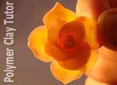 2009-07-09-flower-cane-translucent-background-2009-06-07-045