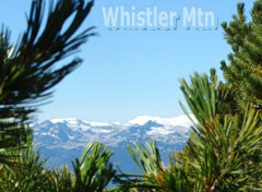 2009-09-06-whistler-mountain-2009-08-28-073