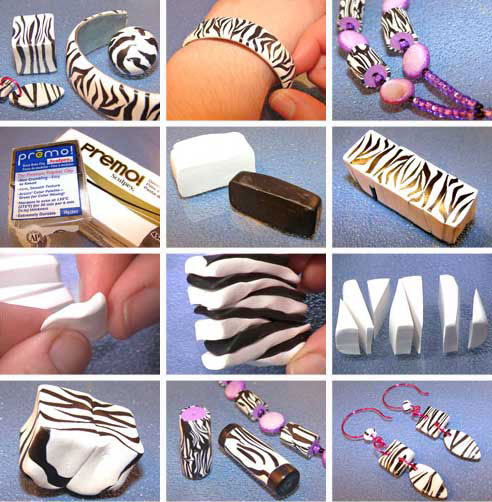 2010-05-28-zebra-cane-024-4-b Zebra Cane 024 4 b