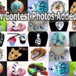 Polyclay Clay Tutor Contest