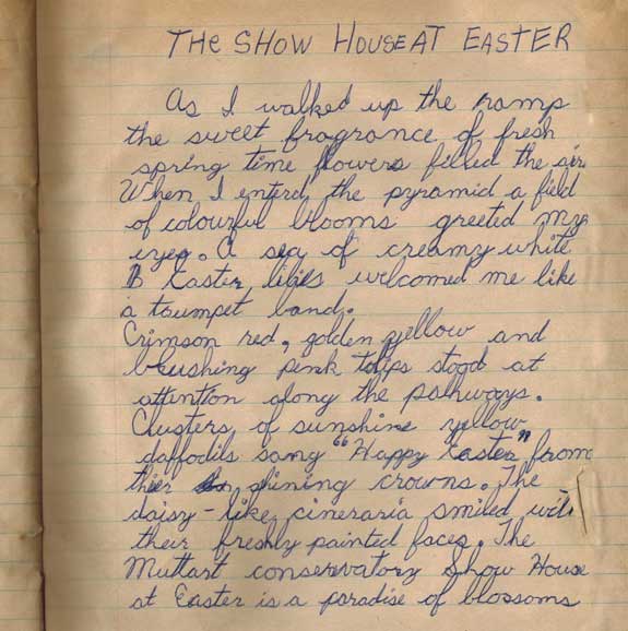 Cindy Lietz Creativity 2